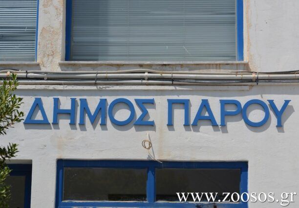 Oύτε ένα ευρώ δεν έχει δώσει ο Δήμος Πάρου στον P.A.W.S. εδώ και 6 μήνες για τα αδέσποτα που φροντίζει