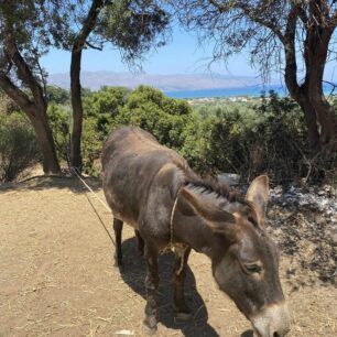 GaidarosMalemeXanion19 7 2023 1