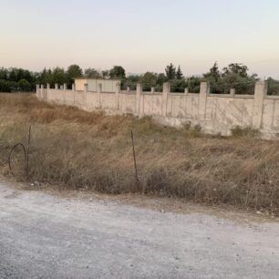 Ρόδος: Γιατί κανείς δεν σταματάει την κακοποίηση αγελάδων που είναι χωρίς νερό κάτω από τον καυτό ήλιο; (Βίντεο) 34 RodosAfantouAgelades23 7 2023 6
