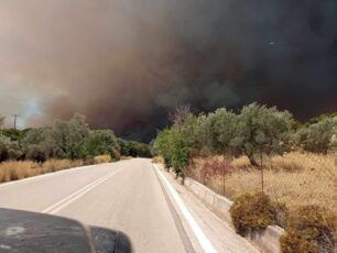 Οδηγίες από τον Δήμο Ρόδου για διάσωση ζώων που κινδυνεύουν από την πυρκαγιά