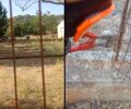Βίλια Αττικής: Έκοψαν σύρμα περίφραξης για να γλυτώσουν κατσίκες και σκυλιά από τις φλόγες (βίντεο)