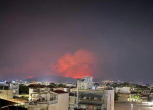 Βόλος Μαγνησίας: Στο Πεδίον του Άρεως συγκεντρώνουν τα πυρόπληκτα ζώα