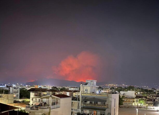 Βόλος Μαγνησίας: Στο Πεδίον του Άρεως συγκεντρώνουν τα πυρόπληκτα ζώα