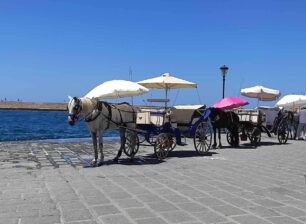 Χανιά: Απτόητοι αμαξάδες συνεχίζουν να κακοποιούν άλογα βάζοντας τα να δουλέψουν παρά τον καύσωνα