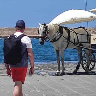 Χανιά: Απτόητοι αμαξάδες συνεχίζουν να κακοποιούν άλογα βάζοντας τα να δουλέψουν παρά τον καύσωνα 1 XaniaAlogoAmaxas19 7 2023 1