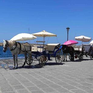 Χανιά: Απτόητοι αμαξάδες συνεχίζουν να κακοποιούν άλογα βάζοντας τα να δουλέψουν παρά τον καύσωνα 2 XaniaAlogoAmaxas19 7 2023 2