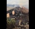 Ασπρόπυργος Αττικής: Δεκάδες αγελάδες σε στάβλο έγκλειστες και οι φλόγες τις πλησιάζουν (βίντεο)