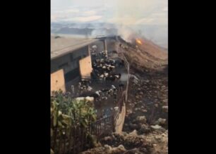 Ασπρόπυργος Αττικής: Δεκάδες αγελάδες σε στάβλο έγκλειστες και οι φλόγες τις πλησιάζουν (βίντεο)