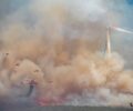Ορνιθολογική: Ασύλληπτη οικολογική καταστροφή από την πυρκαγιά στον Έβρο στο Εθνικό Πάρκο Δαδιάς - Λευκίμης - Σουφλίου
