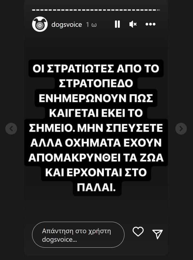 Δεκάδες πυρόπληκτα ζώα στο ΠΑΛΑΙ στο Γαλάτσι Αττικής – Δείτε τι χρειάζονται 2 DogsVoiceAnagkes23 8 2023 1