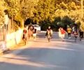 Γαϊδουροχώρα: Η κακοποίηση γαϊδουριών από παιδιά στις γαϊδουροδρομίες αποδεικνύει την κουλτούρα απαξίωσης των αδύναμων (βίντεο)