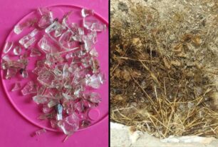 Πάρος: Βρήκαν φόλα με κρέας και θρυμματισμένα γυαλιά στην Αλυκή