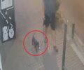 Θεσσαλονίκη: Εγκατέλειψε σκύλο έξω από κτηνιατρική κλινική αλλά τον κατέγραψε η κάμερα (βίντεο)