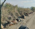 Τριτοκοσμικές εικόνες με χωριά στον βούρκο διάσπαρτα πτώματα και ανθρώπους ρημαγμένους σε Καρδίτσα, Τρίκαλα, Λάρισα, Μαγνησία (βίντεο)