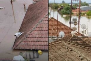 Μεταμόρφωση Καρδίτσας: Όλο το χωριό κάτω από δύο μέτρα νερό μετά την καταιγίδα Ντάνιελ (βίντεο)