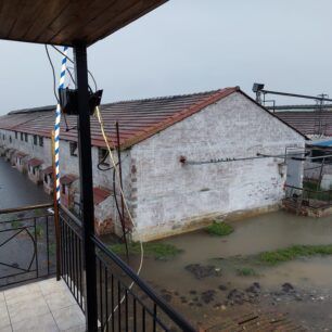 MyriniKarditsasPnigmenaGourounia6 9 2023 1