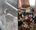 Ωραιόκαστρο Θεσσαλονίκης: Συνελήφθη άνδρας για κακοποίηση σκύλου – Αναζητείται ο αδερφός του που κακομεταχειριζόταν τα ζώα (βίντεο)