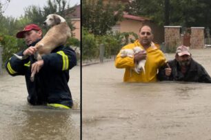 Ριζοβούνι Καρδίτσας: Πυροσβέστες σώζουν μέσα από τα νερά ηλικιωμένους και σκυλιά (βίντεο)