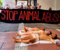 Συμβολική διαμαρτυρία στο ΥΠ.Α.Α.Τ. για τη χρηματοδότηση του αιματοβαμμένου εμπόριου γούνας (βίντεο)