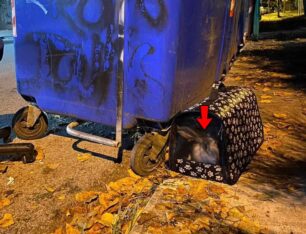 Γιάννενα: Παράτησε στα σκουπίδια το ανεπιθύμητο κουνέλι