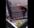 Πέραμα Αττικής: Στο Α.Τ. μεταφέρθηκε  άνδρας που χτυπούσε ανελέητα σκύλο σε μπαλκόνι σπιτιού (βίντεο)