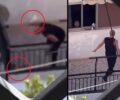 Πέραμα Αττικής: Αφέθηκε ελεύθερος μετά την απολογία του άνδρας που πλάκωσε στο ξύλο τον σκύλο του (βίντεο)