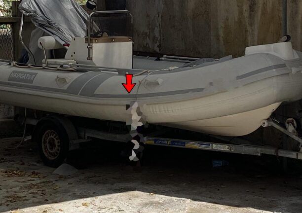 Χαλέπα Χανίων: Έπνιξε γάτα κρεμώντας τη σε βάρκα με θηλιά από ιμάντα