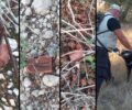 Χανιά: Δηλητηριασμένα λουκάνικα οι φόλες στα Χωραφάκια Ακρωτηρίου