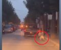 Ξυλόκαστρο Κορινθίας: Αναζητούν οδηγό αγροτικού Ι.Χ. που έσερνε σκύλο στην άσφαλτο (βίντεο)