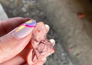 Πυλαία Θεσσαλονίκης: Βρήκε φόλες λουκάνικα με αγκίστρια