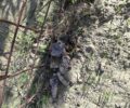 Ηράκλειο Κρήτης: 23 κομμάτια με φόλες και 2 δηλητηριασμένα σκυλιά βρέθηκαν κοντά στο φράγμα Πλακιώτισσας