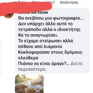 Πέρδικα Θεσπρωτίας: Καταγγέλλει τη στοχοποίηση αδέσποτων και τις δολοφονίες ζώων με φόλες (βίντεο) 7 PerdikaThesprotiasSxoliaFacebookNoe2023 7