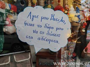 «Άγιε μου Βασίλη, φέτος το δώρο μου να το δώσεις στα αδέσποτα»
