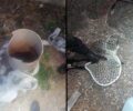 Αιγάλεω Αττικής: Έσωσαν γάτα που έπεσε μέσα σε σωλήνα εξαερισμού – Ο διασώστης προσπαθούσε επί επτά ώρες (βίντεο)