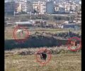 Εύοσμος Θεσσαλονίκης: Αφήνει τα άλογα του εκτεθειμένα στο δριμύ ψύχος – Δύο χρόνια αστυνομικοί τα βρίσκουν όλα καλά (βίντεο)