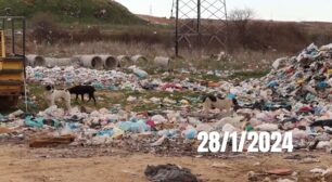 «Αδεσποτούλια Ξάνθης»: Μας κατηγορούν ψευδώς αντί να βοηθήσουν τα 500+ σκυλιά στη χωματερή που καθημερινά υποφέρουν (βίντεο)