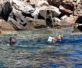 Έσωσαν γάτα που βρέθηκε εξαθλιωμένη στην ακατοίκητη βραχονησίδα Στρογγυλό κοντά στη Σύρο (βίντεο)