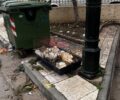 Άγιος Δημήτριος Αττικής: Εγκατάλειψε 13 κουνέλια μέσα σε κλουβί δίπλα σε κάδο σκουπιδιών