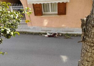 Αγρίνιο Αιτωλοακαρνανίας: Η Αστυνομία δεν ήθελε μάρτυρας να κάνει μήνυση στον άνδρα που έσερνε σκύλο στην άσφαλτο