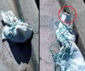 Λέσβος: Βρήκε γάτα ζωντανή κλεισμένη σε τσουβάλι πεταμένη στον δρόμο  (βίντεο)