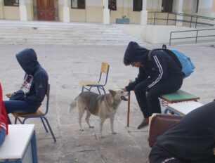 Το 1ο ΕΠΑ.Λ. Χίου αποχαιρέτησε την αδέσποτη σκυλίτσα Μάγια που πέθανε σε ηλικία 18 ετών