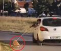 Άνω Λιόσια Αττικής: Εξανάγκασαν σκύλο να τρέχει στην άσφαλτο δεμένος από το λουρί στο εν κινήσει αυτοκίνητο (βίντεο)