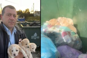 Έσωσε τα κουτάβια που βρέθηκαν πεταμένα σε κάδο σκουπιδιών στην Περιστερά Λασιθίου (βίντεο)