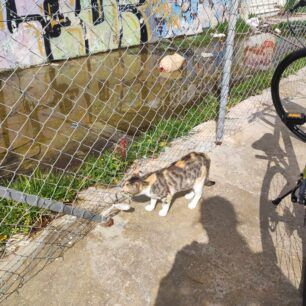 GatesSEFNeoFaliroMartios2024 28
