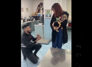 Ηράκλειο Κρήτης: Της έκανε πρόταση γάμου στο κτηνιατρείο (βίντεο)