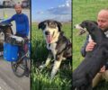 Ευχαριστεί θερμά όσους βοήθησαν να βρεθεί η σκυλίτσα του στη Σερβία έναν χρόνο μετά (βίντεο)