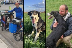 Ευχαριστεί θερμά όσους βοήθησαν να βρεθεί η σκυλίτσα του στη Σερβία έναν χρόνο μετά (βίντεο)