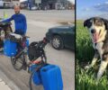 Βρέθηκε στη Σερβία ένα χρόνο μετά σκύλος που είχε χαθεί στα ελληνοτουρκικά σύνορα (βίντεο)