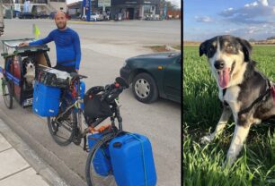 Βρέθηκε στη Σερβία ένα χρόνο μετά σκύλος που είχε χαθεί στα ελληνοτουρκικά σύνορα (βίντεο)
