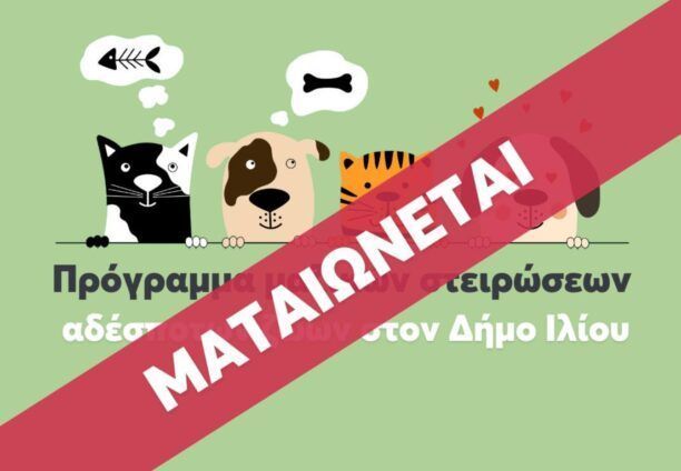 «ΝΕΜΕΣΙΣ»: Ηθικό ατόπημα και όχι μόνο η ακύρωση δωρεάν στειρώσεων αδέσποτων με παρέμβαση του Πανελλήνιου Κτηνιατρικού Συλλόγου